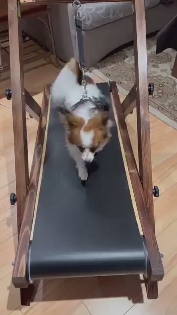 Small Treadmill